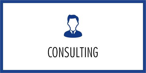 CONSULTING