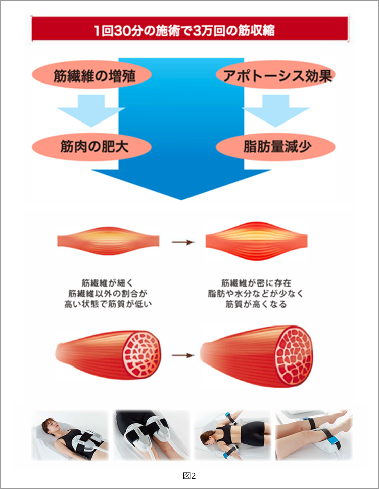 図2